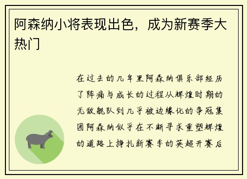 阿森纳小将表现出色，成为新赛季大热门